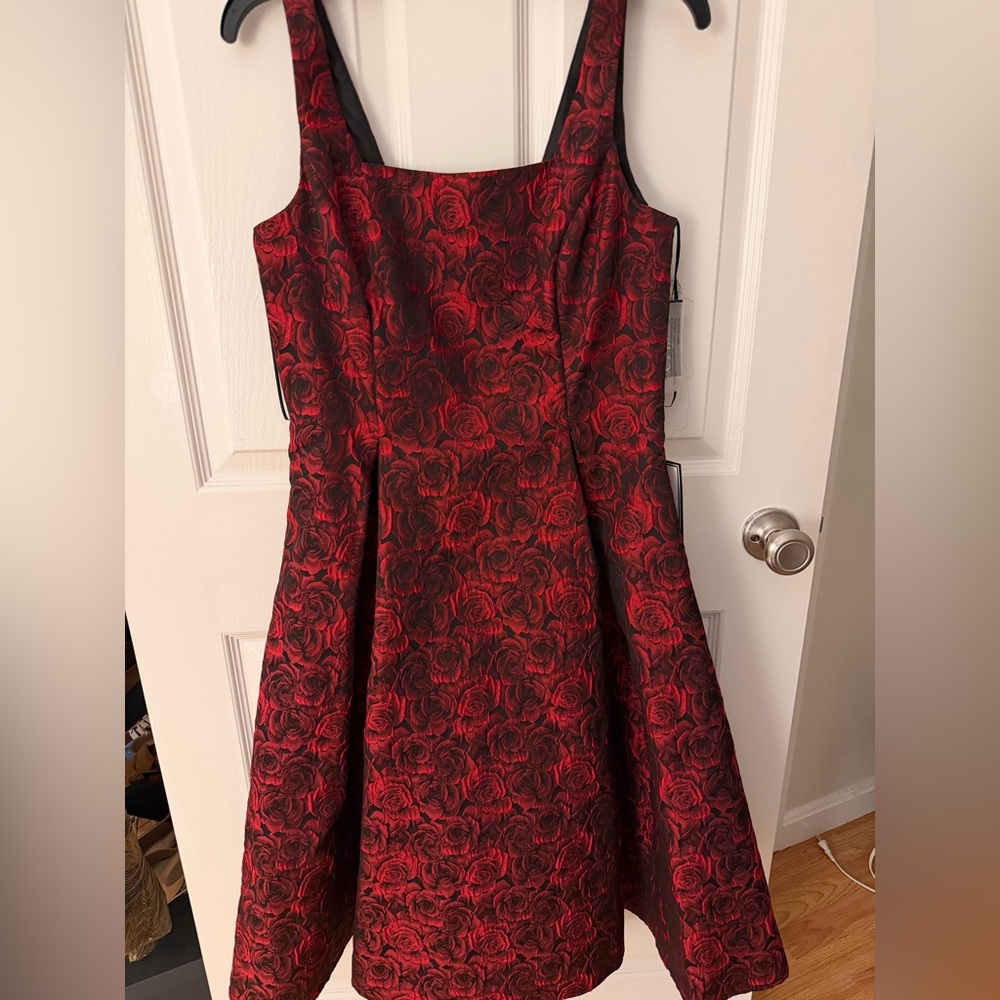 Alex Evenings Red and Black Floral Mini Dress